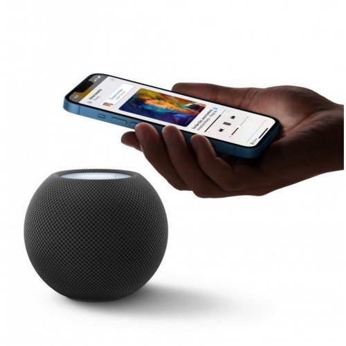 Умная колонка Apple HomePod mini, Black, черный космос, MY5G2