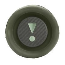 Портативная беспроводная колонка JBL Flip 6, Squad