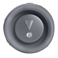 Портативная беспроводная колонка JBL Flip 6, Grey
