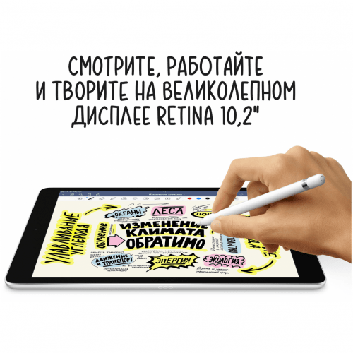 Apple iPad 9 (10,2") Wi-Fi 256 ГБ, Silver, Серебристый
