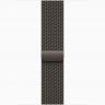 Apple Watch Series 10 GPS + Cellular, 46 мм Slate Titanium Case with Slate Milanese Loop, M/L, MWYW3Q