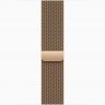 Apple Watch Series 10 GPS + Cellular, 42 мм Gold Titanium Case with Gold Milanese Loop, MX083Q