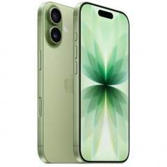 Apple iPhone 17 256 ГБ, Sage, Приглушённый зелёный, eSim